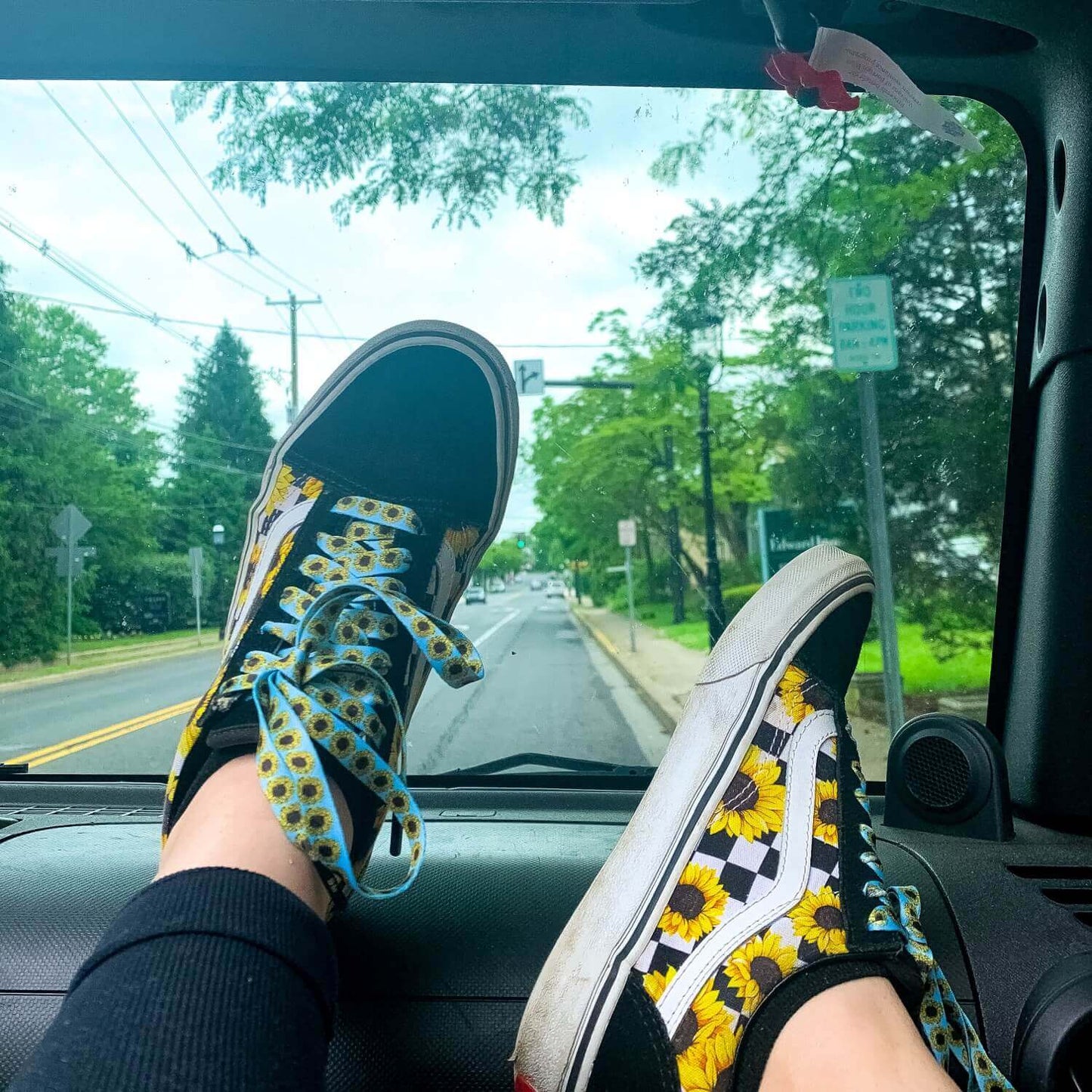 Sunflower Shoelaces