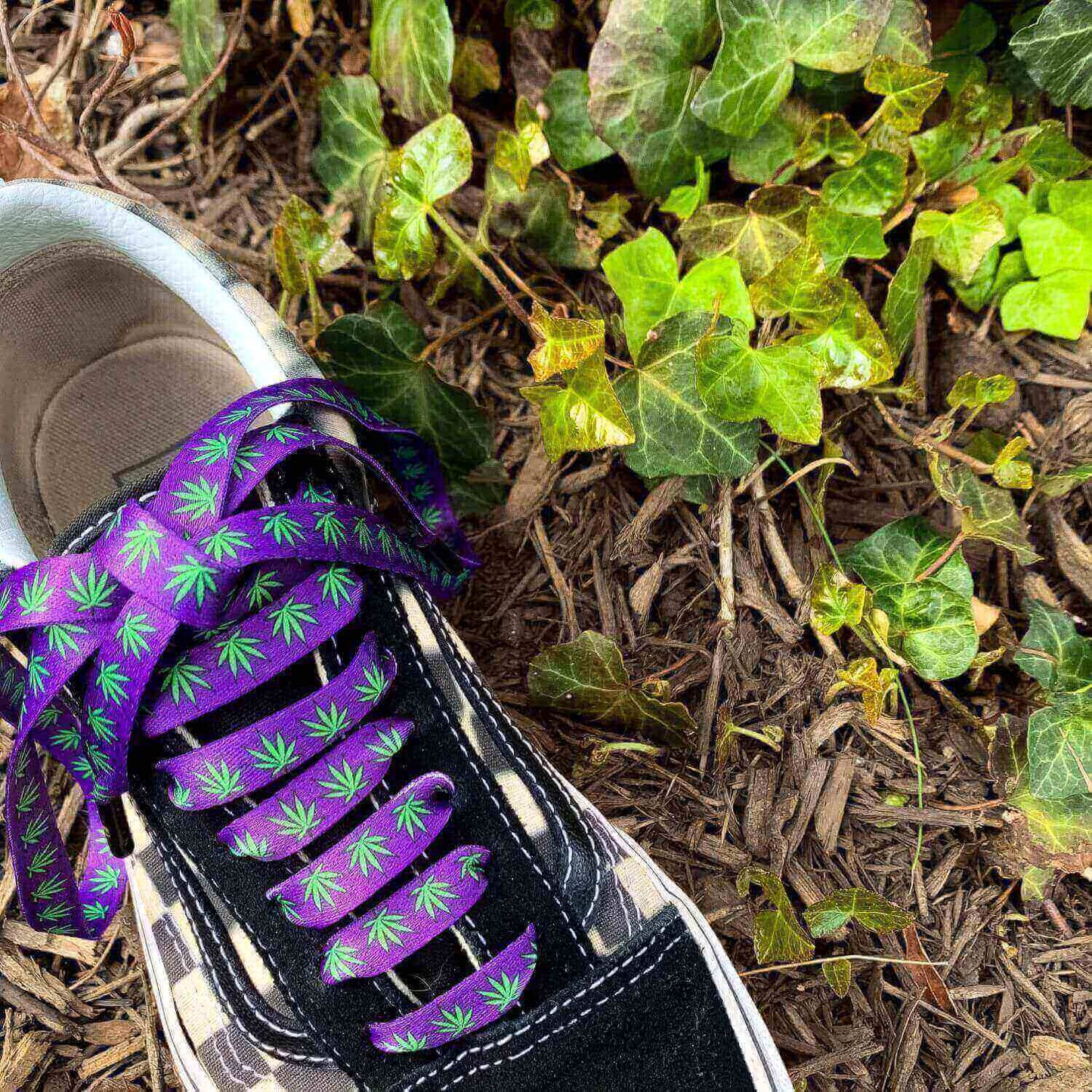 Weed Shoelaces Purple